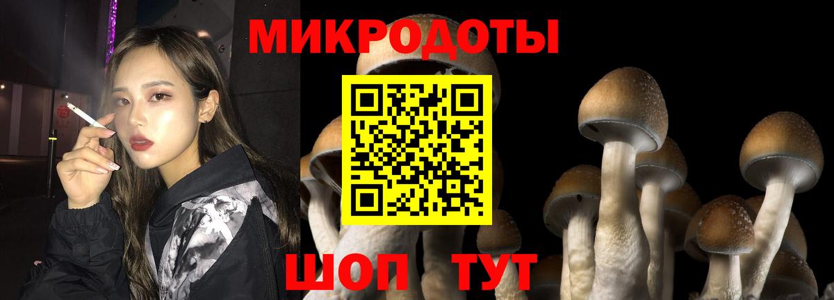 Псилоцибиновые грибы мухоморы Великий Новгород